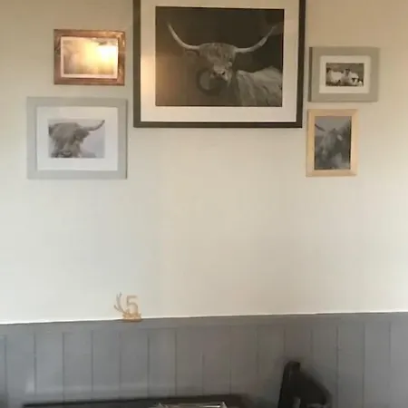 The Oddfellows Arms Otel