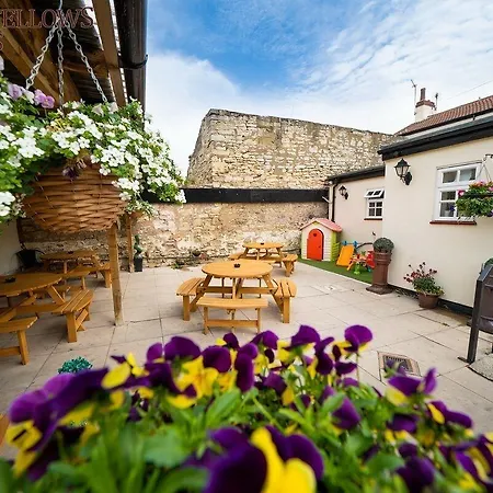 酒店 The Oddfellows Arms 3*