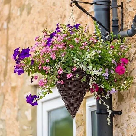 Ξενοδοχείο The Oddfellows Arms 3*