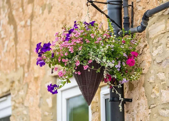 Hotel The Oddfellows Arms 3*