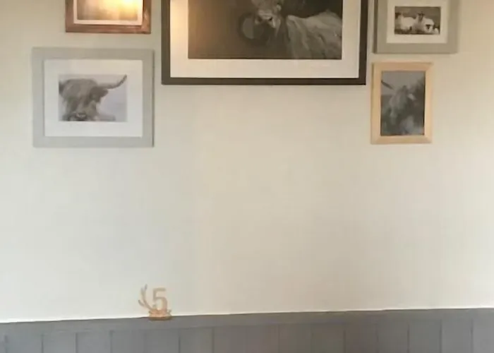 The Oddfellows Arms Hotel